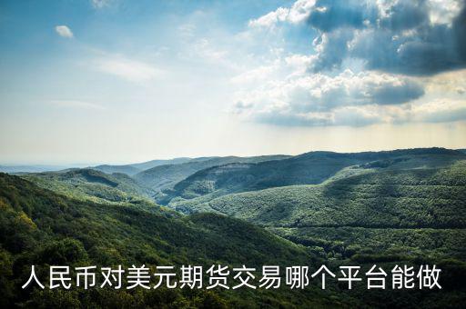 人民幣對美元期貨交易哪個(gè)平臺(tái)能做