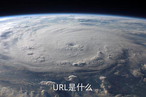 久其費(fèi)控url是什么，URL是什么意思