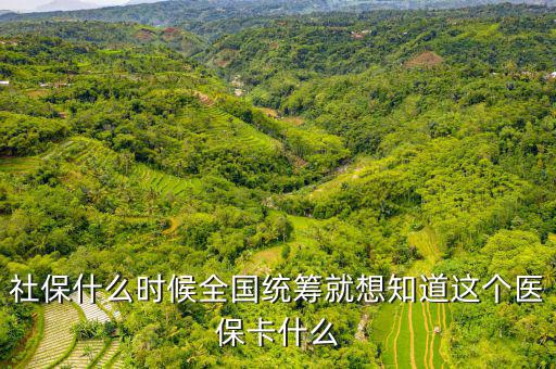 社保什么時候全國統(tǒng)籌就想知道這個醫(yī)?？ㄊ裁? class=