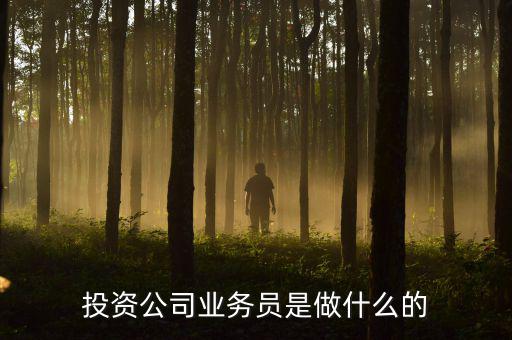 投資公司業(yè)務(wù)員是做什么的，投資公司業(yè)務(wù)員是做什么的