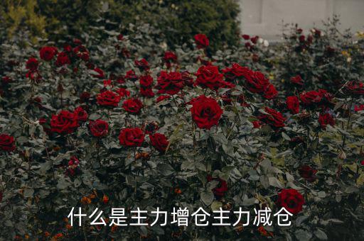 主力增減倉什么意思，什么是主力增倉主力減倉