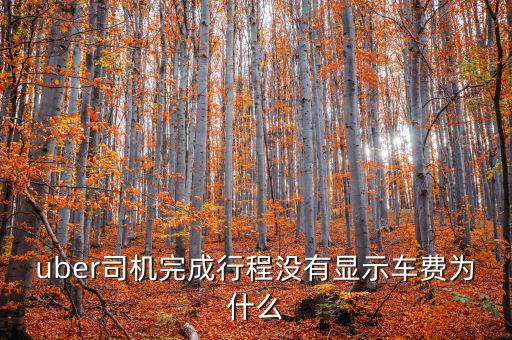uber為什么不顯示價(jià)格，優(yōu)步叫車(chē)前看不到價(jià)格