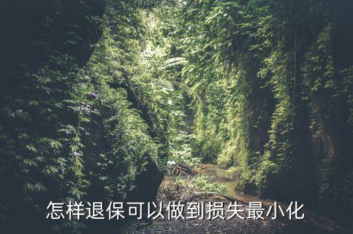 什么辦法能退保險(xiǎn)不損失，退保怎樣能減少損失