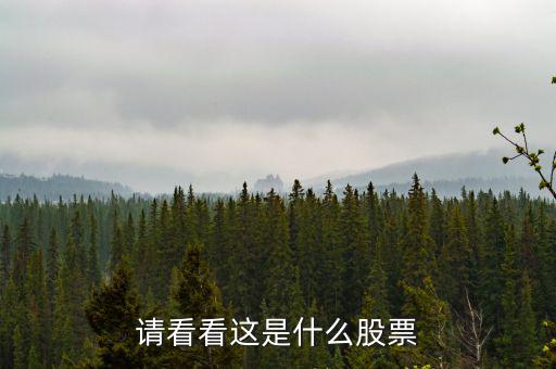 993961是什么股票，請看看這是什么股票