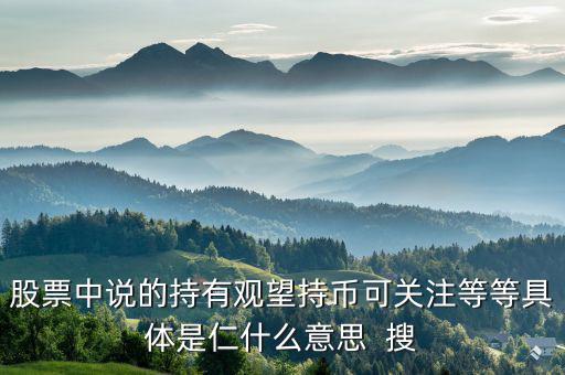 股票中持幣是什么意思，股票持幣什么意思