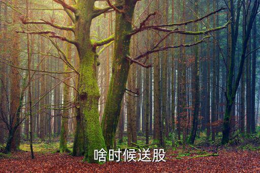 鐵嶺新城什么時候送股，大家都說它出的中報好但我不知道怎么看我只想問問什么么時候