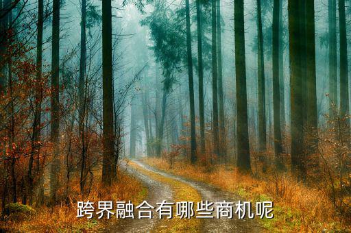 什么是跨界融合，跨界融合有哪些商機(jī)呢