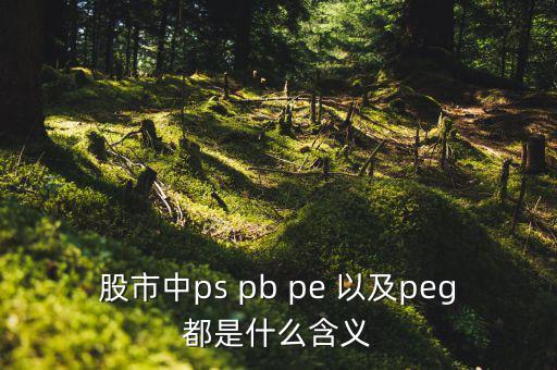 股市peg是什么意思，請(qǐng)問在股市里的PEG是什么意思和股價(jià)的關(guān)系怎樣多謝