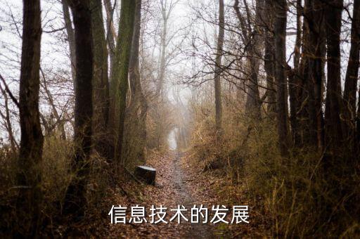 信息發(fā)展是什么板塊，中國軟件 屬于什么板塊