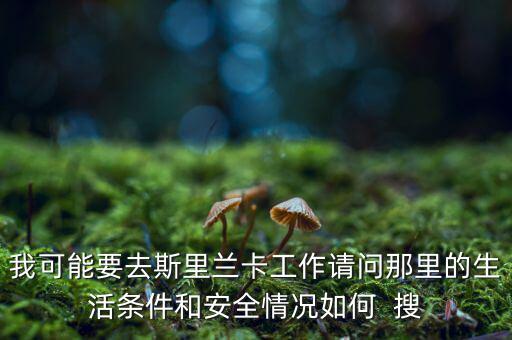 我可能要去斯里蘭卡工作請(qǐng)問那里的生活條件和安全情況如何  搜
