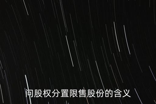 深大通大股東為什么是限售股，問股權分置限售股份的含義