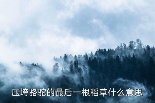 壓垮駱駝的最后一根稻草什么意思，壓死駱駝的最后一根稻草意味著什么