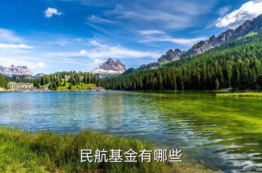 飛機票還有什么民航基金，民航基金有哪些
