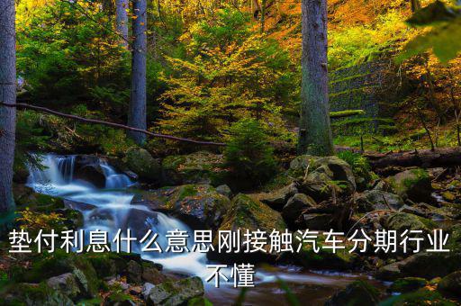 墊付利息是什么意思，紅利保險(xiǎn)會自動墊付期間會出利息
