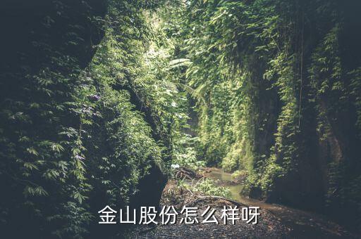為什么沒人關(guān)注金山股份，金山股份怎么樣呀
