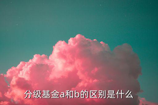 什么是a份額，分級基金A份額是什么意思