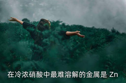 什么金屬易融難化，最不容易融化的金屬是什么想對來說便宜一點的是什么