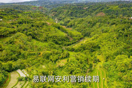 易聯(lián)網(wǎng)安利營(yíng)銷續(xù)期