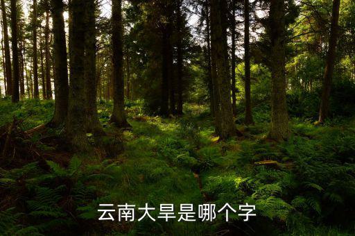 云南大旱是個什么字，云南大旱是哪個字