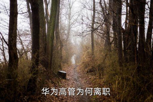 范家輝為什么離職，美國駐華大使家輝為什么宣布將辭職為什么來的如此的突然