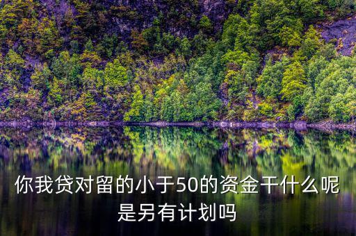你我貸為什么我要投2萬才能減50，你我貸對(duì)留的小于50的資金干什么呢是另有計(jì)劃嗎