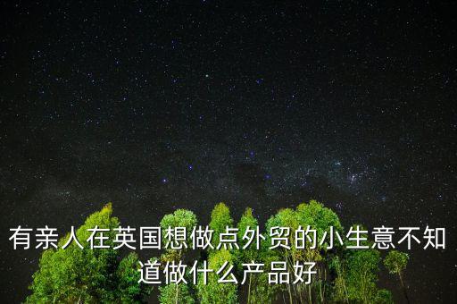 有親人在英國想做點外貿的小生意不知道做什么產品好