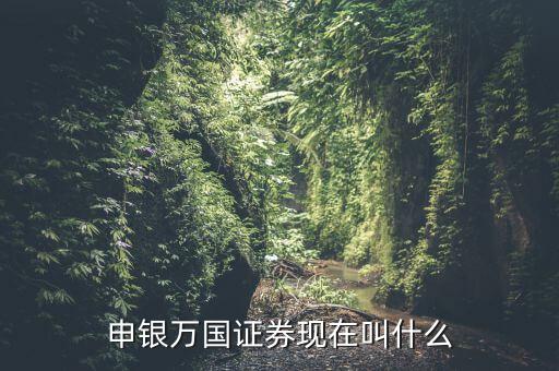 申銀萬國(guó)并什么證券公司了，申銀萬國(guó)證券現(xiàn)在叫什么