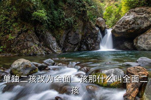 什么是全面二孩，全面開放生二胎指什么