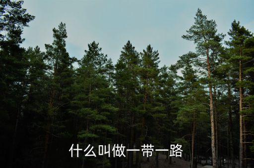 一帶一路什么產(chǎn)品，一帶一路是什么