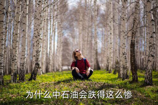 中石油上市為什么狂跌，為什么中石油會跌得這么慘