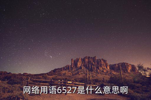 網(wǎng)絡(luò)用語(yǔ)6527是什么意思啊