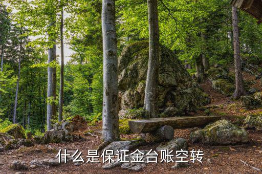 什么是資金空轉(zhuǎn)，資金沖轉(zhuǎn)的含義是什么名詞解釋