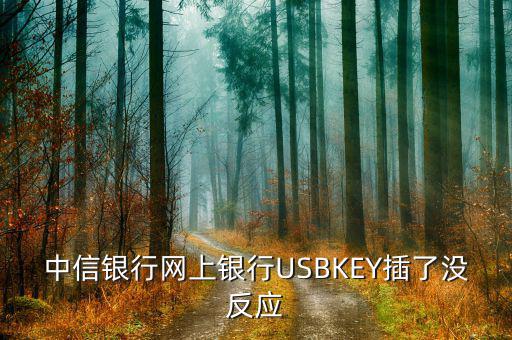 中信銀行插卡消費(fèi)為什么沒(méi)有反應(yīng)，中信網(wǎng)銀USBKEY插上沒(méi)反應(yīng)怎么回事求大神幫助