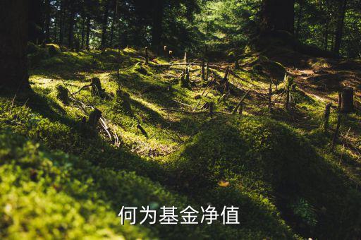什么叫基金凈值，基金凈值是什么意思