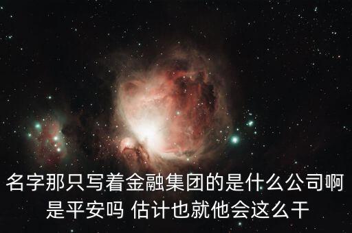 中生金控屬什么企業(yè)，我國(guó)四大金融控股公司是什么