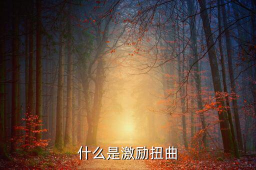 什么叫市場扭曲，什么是激勵扭曲