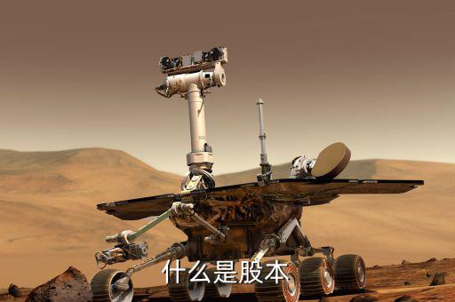 股票股本是什么意思，股本的概念
