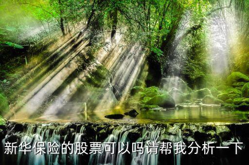 新華保險(xiǎn)為什么股票漲這么多，新華保險(xiǎn)的股票可以嗎請幫我分析一下