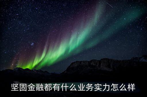 堅固金融都有什么業(yè)務(wù)實(shí)力怎么樣