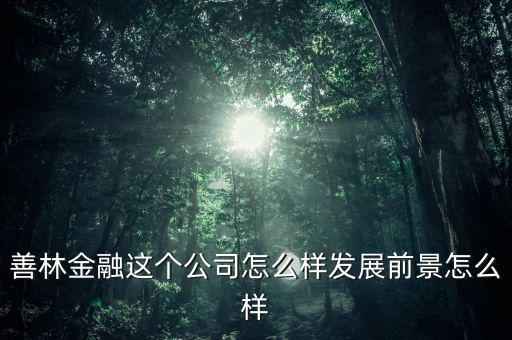 善林公司經(jīng)營什么，善林金融這個公司怎么樣發(fā)展前景怎么樣