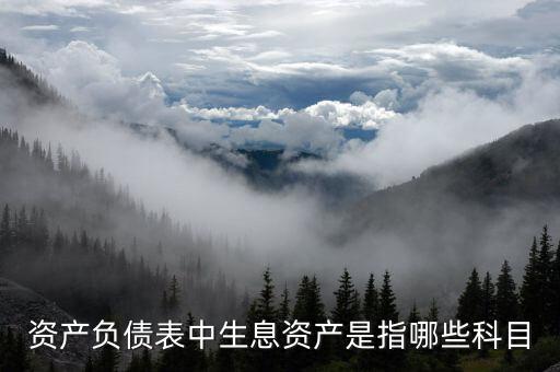 什么是生息負(fù)債，什么是速動(dòng)資產(chǎn)流動(dòng)負(fù)債和生息債務(wù)