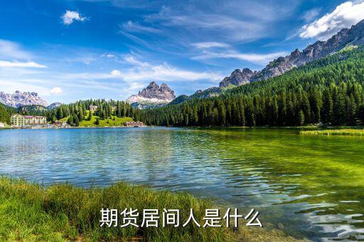 期貨居間人干什么的，期貨居間人是什么