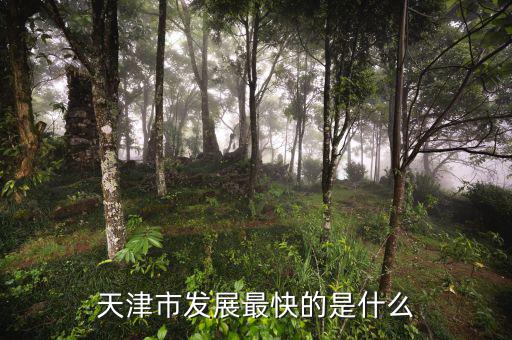 天津靠什么發(fā)展，天津市發(fā)展最快的是什么