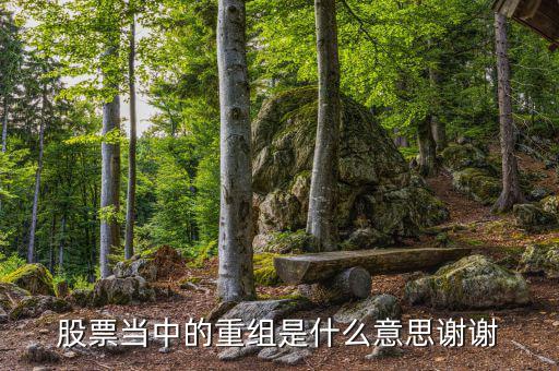 什么是重組，重組在電腦術語中什么意思