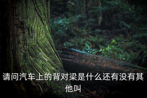 請(qǐng)問(wèn)汽車上的背對(duì)梁是什么還有沒(méi)有其他叫
