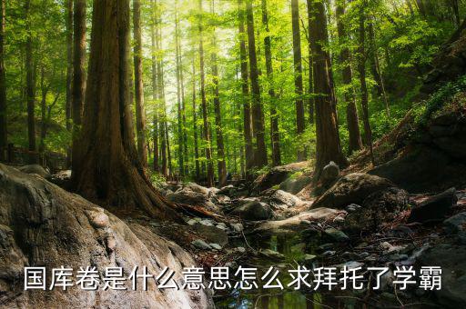 國(guó)庫(kù)卷什么意思，國(guó)庫(kù)卷是什么意思怎么求拜托了學(xué)霸