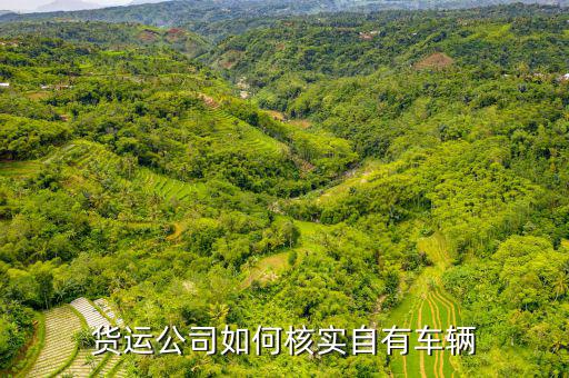 貨運(yùn)資產(chǎn)是什么意思，貨運(yùn)公司如何核實(shí)自有車(chē)輛