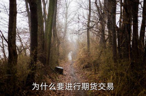 為什么國(guó)內(nèi)期貨，為什么要做期貨投資