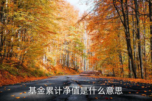 基金累計(jì)凈值是什么意思，基金凈值累計(jì)凈值各指什么