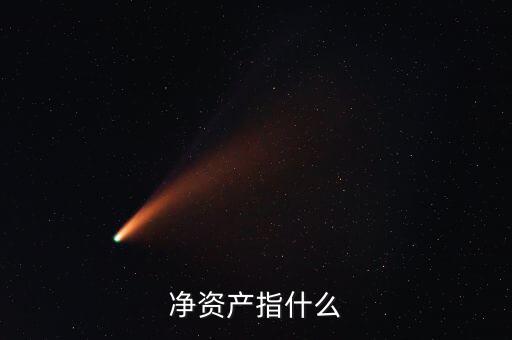 凈資產(chǎn)是什么意思，凈資產(chǎn)指什么